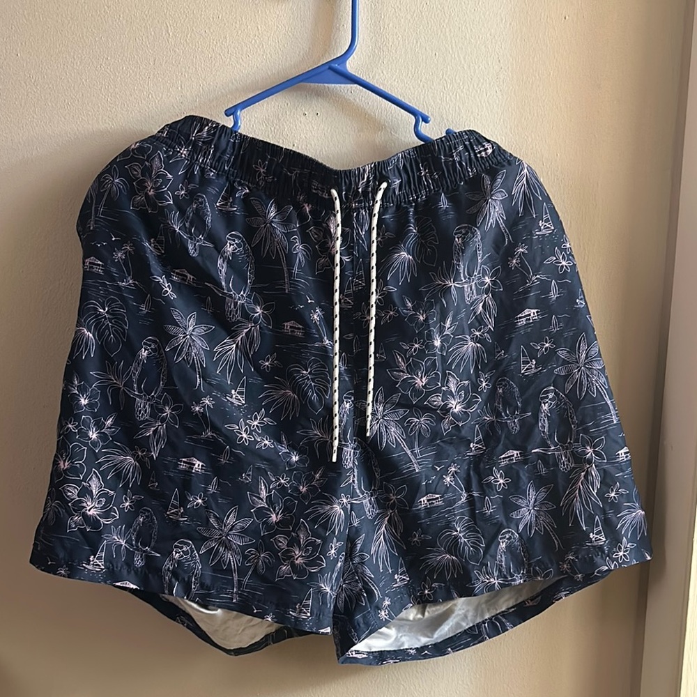 Goodfellow Swim Shorts